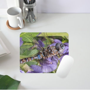 Blue-Eyed Darner Dragonfly on Flower Mouse Pad