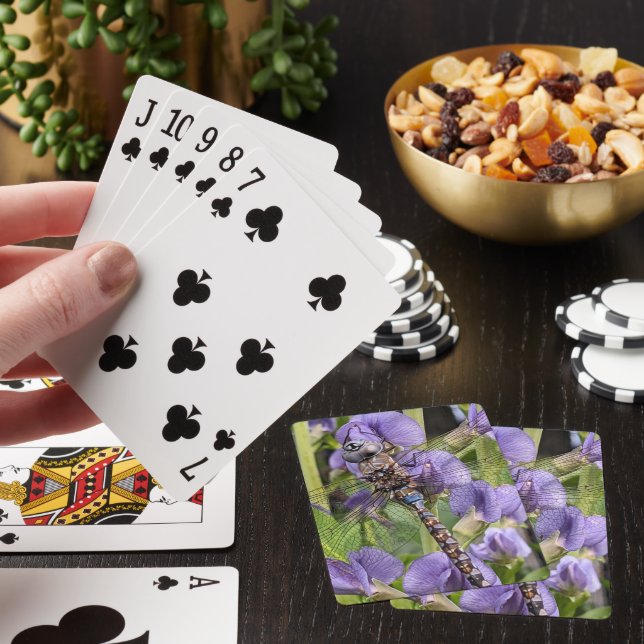 Blue-Eyed Darner Dragonfly on Flower Poker Cards (In Situ)