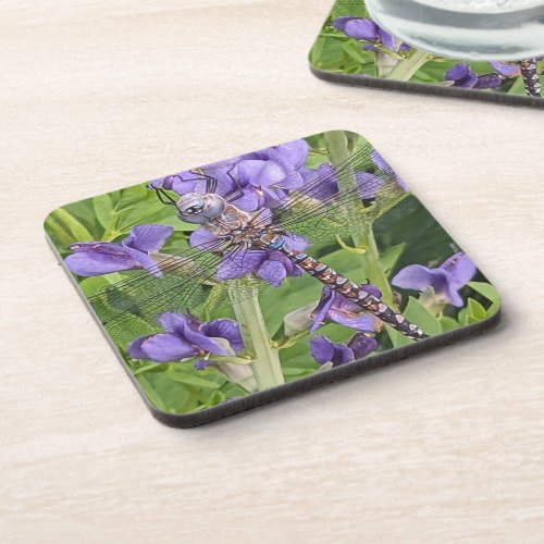 Blue_Eyed Darner Dragonfly on Purple Flowers Beverage Coaster