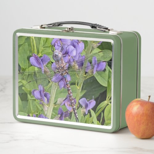 Blue_Eyed Darner Dragonfly on Purple Flowers Metal Lunch Box