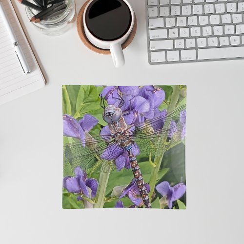 Blue_Eyed Darner Dragonfly on Purple Flowers Trinket Tray