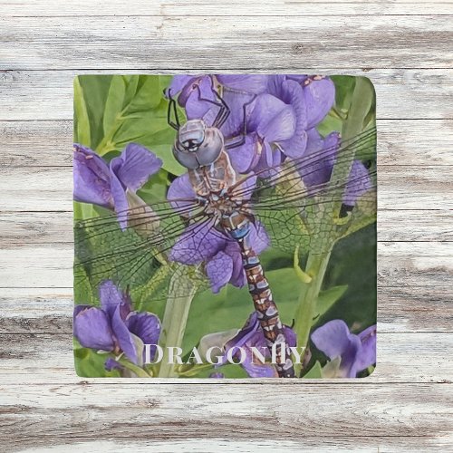 Blue_Eyed Darner Dragonfly on Purple Flowers Trivet
