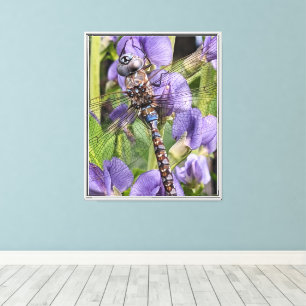 Blue-Eyed Darner Dragonfly Photographic Canvas Print