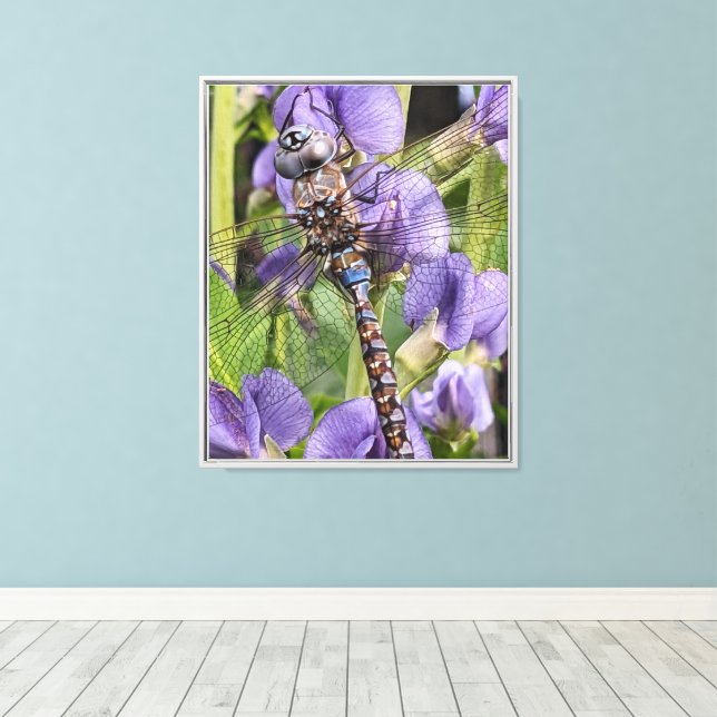 Blue-Eyed Darner Dragonfly Photographic Canvas Print (Insitu(Wood Floor))