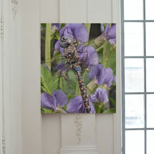 Blue_Eyed Darner Dragonfly Photographic Canvas Print