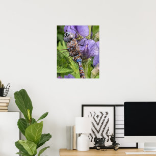 Blue-Eyed Darner Dragonfly Photographic Poster