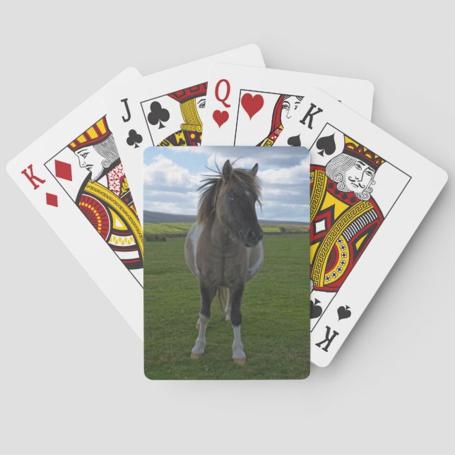 Blue Eyed Dartmoor Pony Poker Cards (Back)