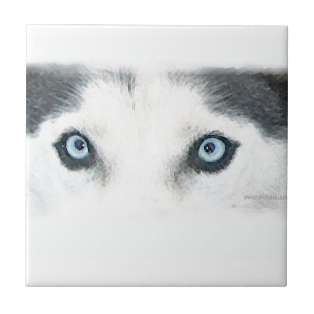 Blue eyed dogs can see the wind ceramic tile (Front)