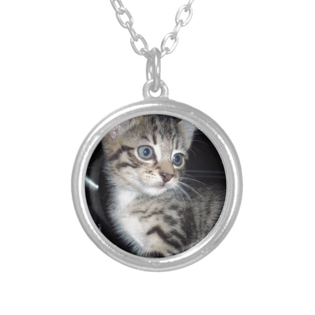 Blue Eyed Fluffy Gray Kitten, Silver Plated Necklace (Front)