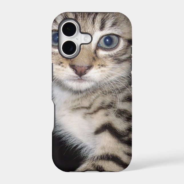 Blue Eyed Fluffy Grey Kitten, Case-Mate iPhone Case (Back)