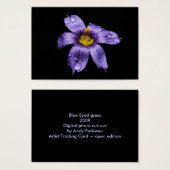 Blue Eyed Grass ~ ATC (Front & Back)