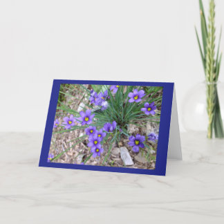 Blue Eyed Grass Blank Note Card