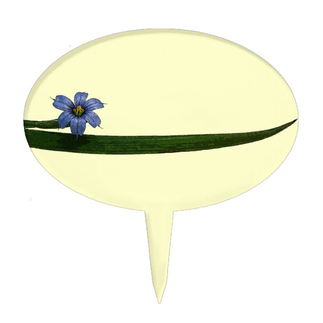 Blue-eyed grass flower and leaf cake topper (Front)