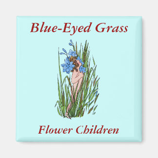 Blue-Eyed Grass Magnet