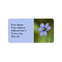 Blue Eyed Grass Wildflower Floral Labels