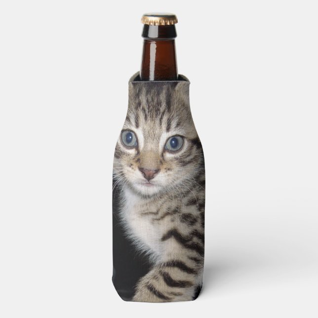 Blue Eyed Gray Fluffy Kitten, Bottle Cooler (Bottle Front)