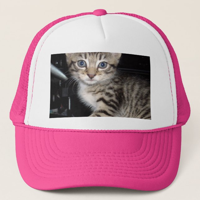 Blue Eyed Grey Fluffy Kitten, Trucker Hat (Front)