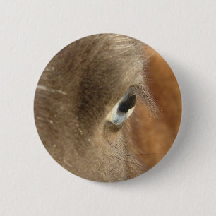 Blue Eyed Horse Button