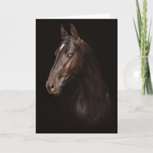 Blue Eyed Horse Portrait Card