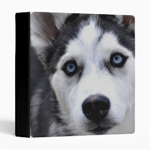 Blue Eyed Husky Binder