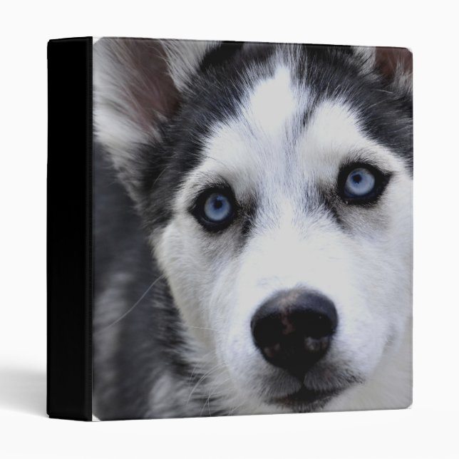 Blue Eyed Husky Binder (Front/Spine)