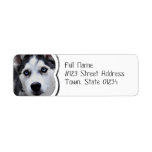 Blue Eyed Husky Mailing Labels