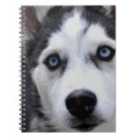 Blue Eyed Husky Notebook