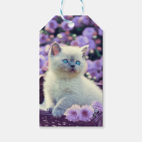 Blue Eyed Kitten Baby Cat In Basket Lilac Flowers Gift Tags