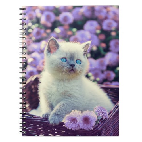 Blue Eyed Kitten Baby Cat In Basket Lilac Flowers Notebook