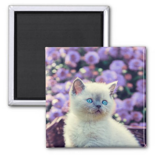 Blue Eyed Kitten Baby Cat In Basket Purple Flowers Magnet