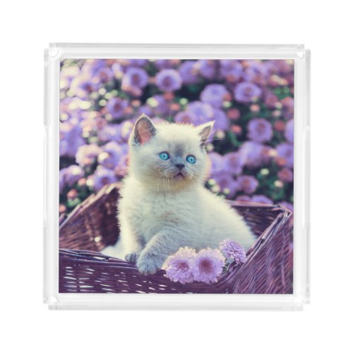 Blue Eyed Kitten Cat In Basket With Lilac Flowers Acrylic Tray