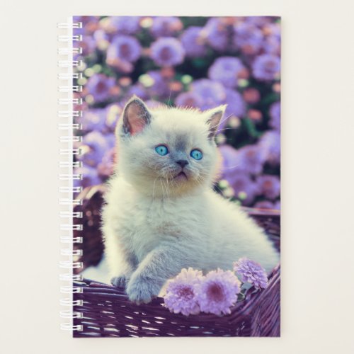 Blue Eyed Kitten Cat In Basket With Lilac Flowers Planner