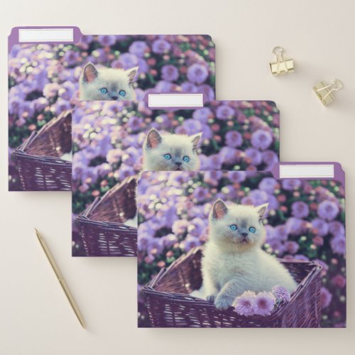 Blue Eyed Kitten Cat In Basket With Purple Flowers File Folder