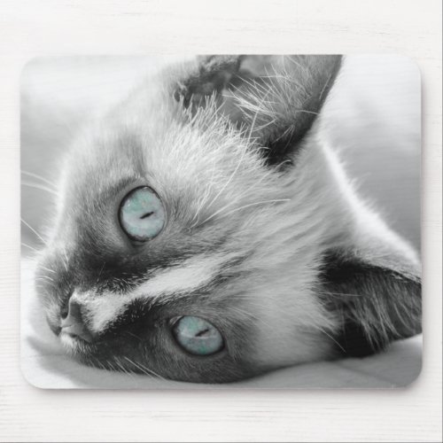 Blue_Eyed Kitten Mouse Pad