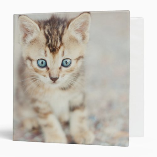 Blue Eyed Kitty Binder