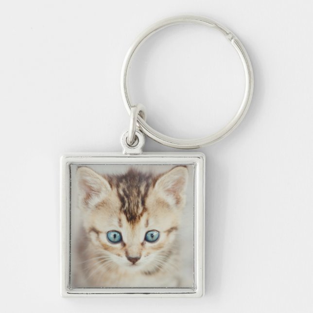 Blue Eyed Kitty Keychain (Front)