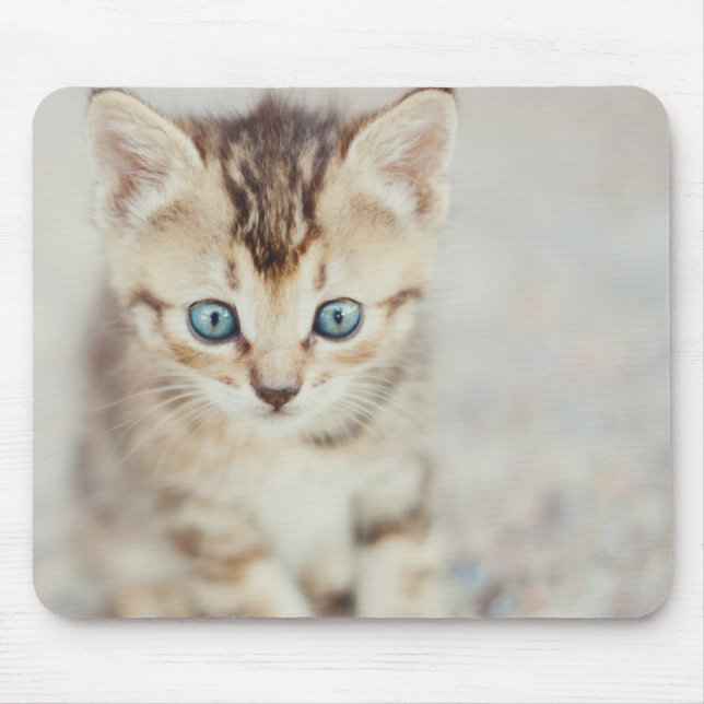 Blue Eyed Kitty Mouse Pad (Front)
