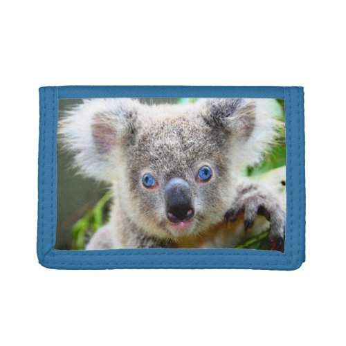 Blue Eyed Koala Trifold Wallet