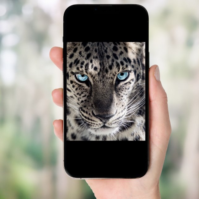 Blue Eyed Leopard Photography Art Poster (Front Digital)