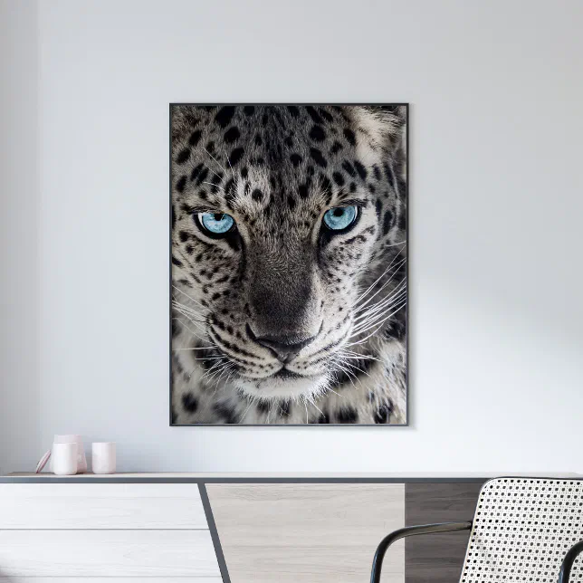 Blue Eyed Leopard Photography Art Poster | Zazzle