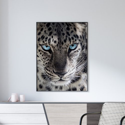 Blue Eyed Leopard Photography Art Poster