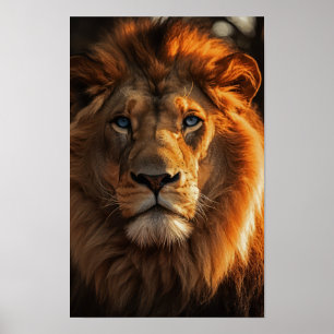 Blue Eyed Lion Poster