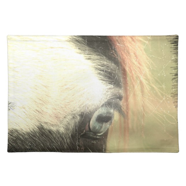 Blue-Eyed Pinto Grunge Cloth Placemat (Front)