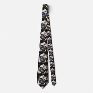 blue-eyed pug faces black neck tie