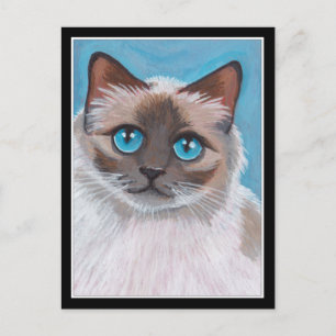 Blue Eyed Ragdoll Cat Portrait Painting Postcard