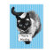 Blue Eyed Siamese Cat Holding "We're Moving Sign