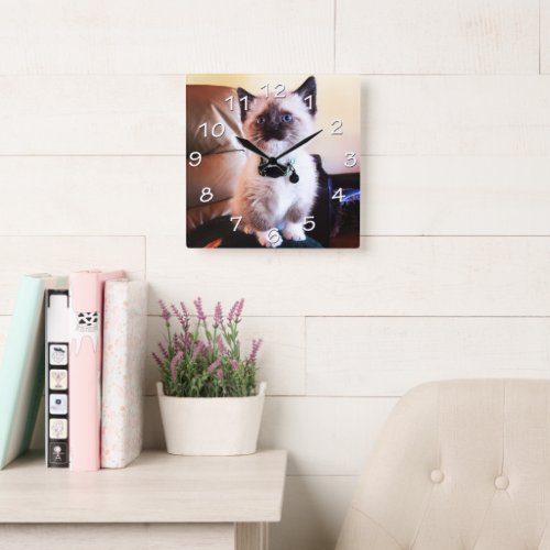 Blue Eyed Siamese Kitten Photograph Square Wall Clock