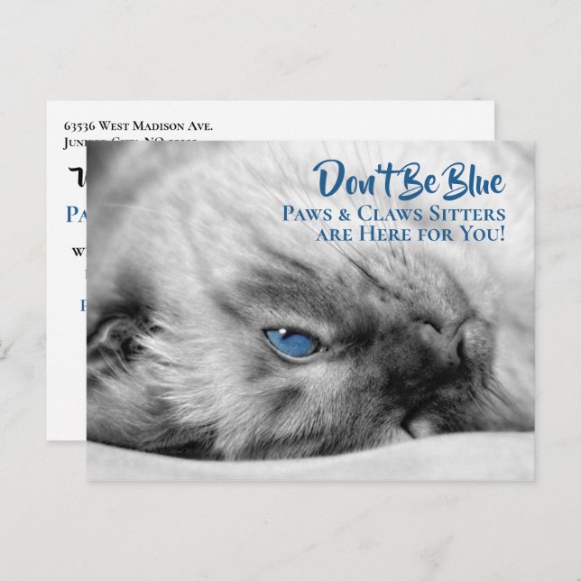 Blue Eyed Siamese Pet Sitter's Custom Postcard (Front/Back)
