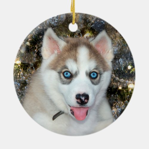 Blue eyed Siberian Husky Christmas Ceramic Ornament