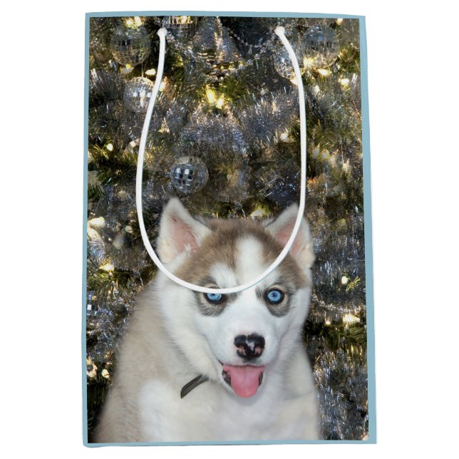 Blue eyed Siberian Husky Christmas Medium Gift Bag (Front)